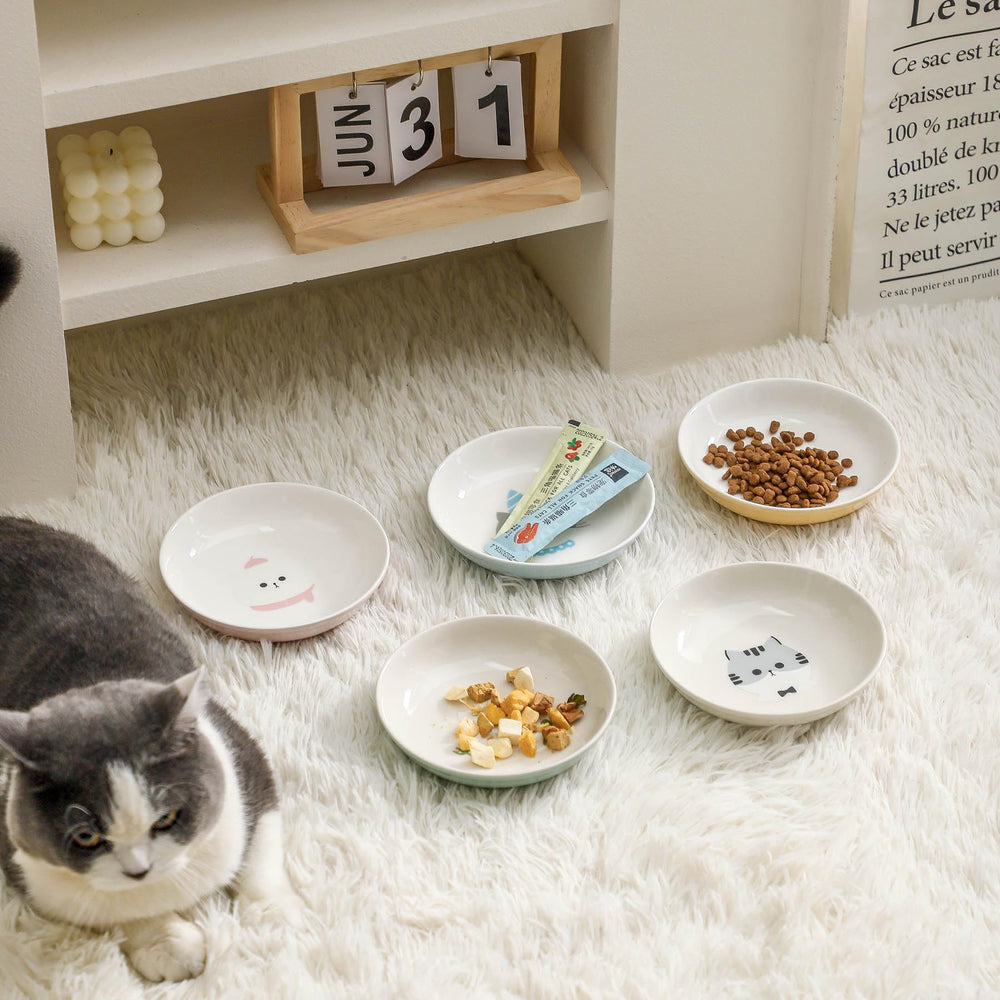 Seyatoo wide low-height cat bowl provides easy access for small pets.
