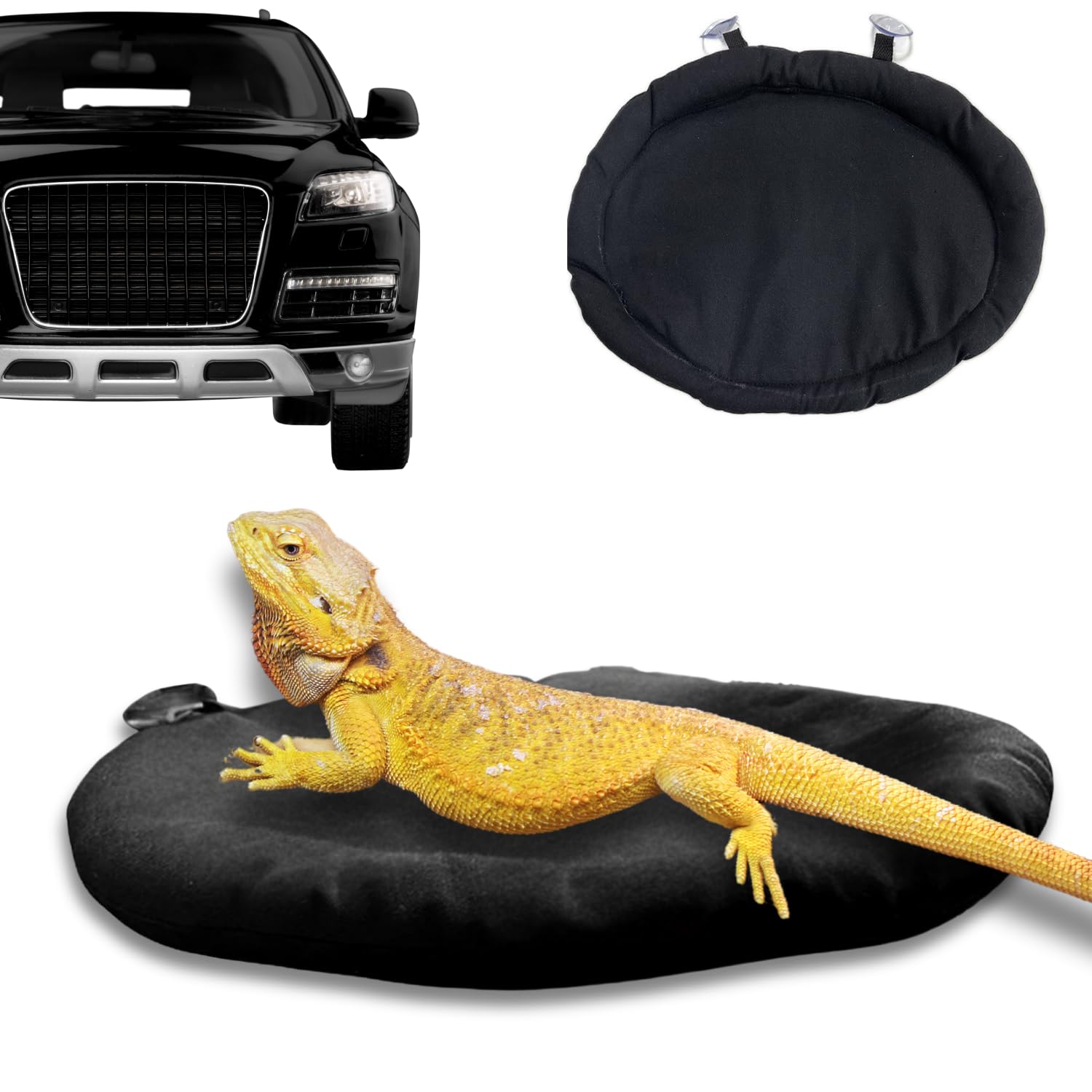 SEZDEKI bearded dragon bed with suction cups for secure car travel.