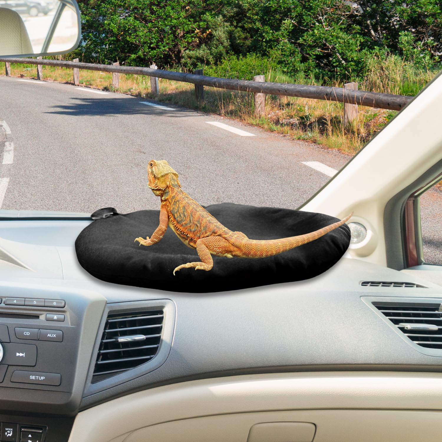 SEZDEKI car hammock attachment keeps your lizard safely settled.