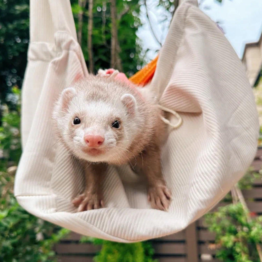 SEZDEKI ferret sling carrier compact-fold for easy storage
