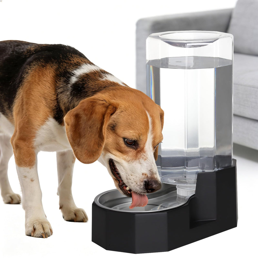 Sfozstra 8L water feeder for multi-pet homes with gravity refill.