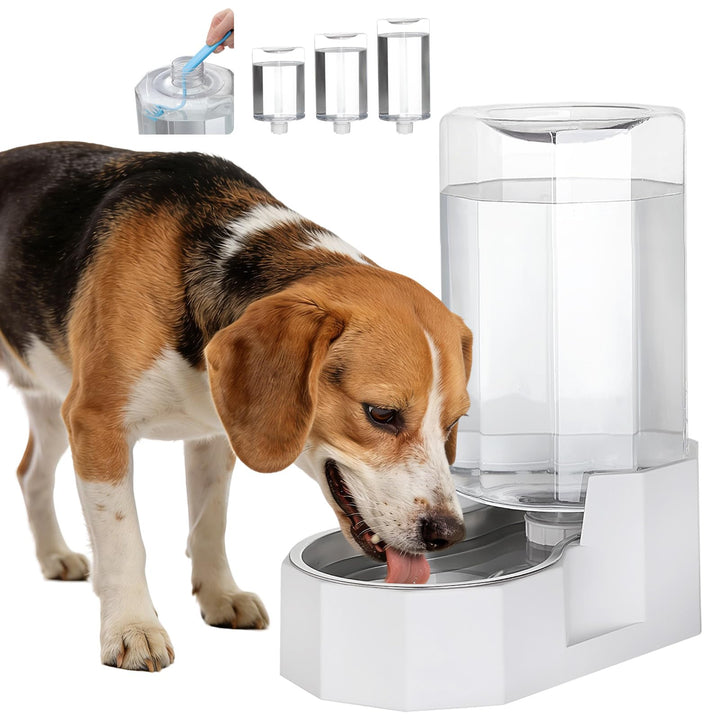 Sfozstra automatic water dispenser with 8L capacity ensuring constant hydration at home
