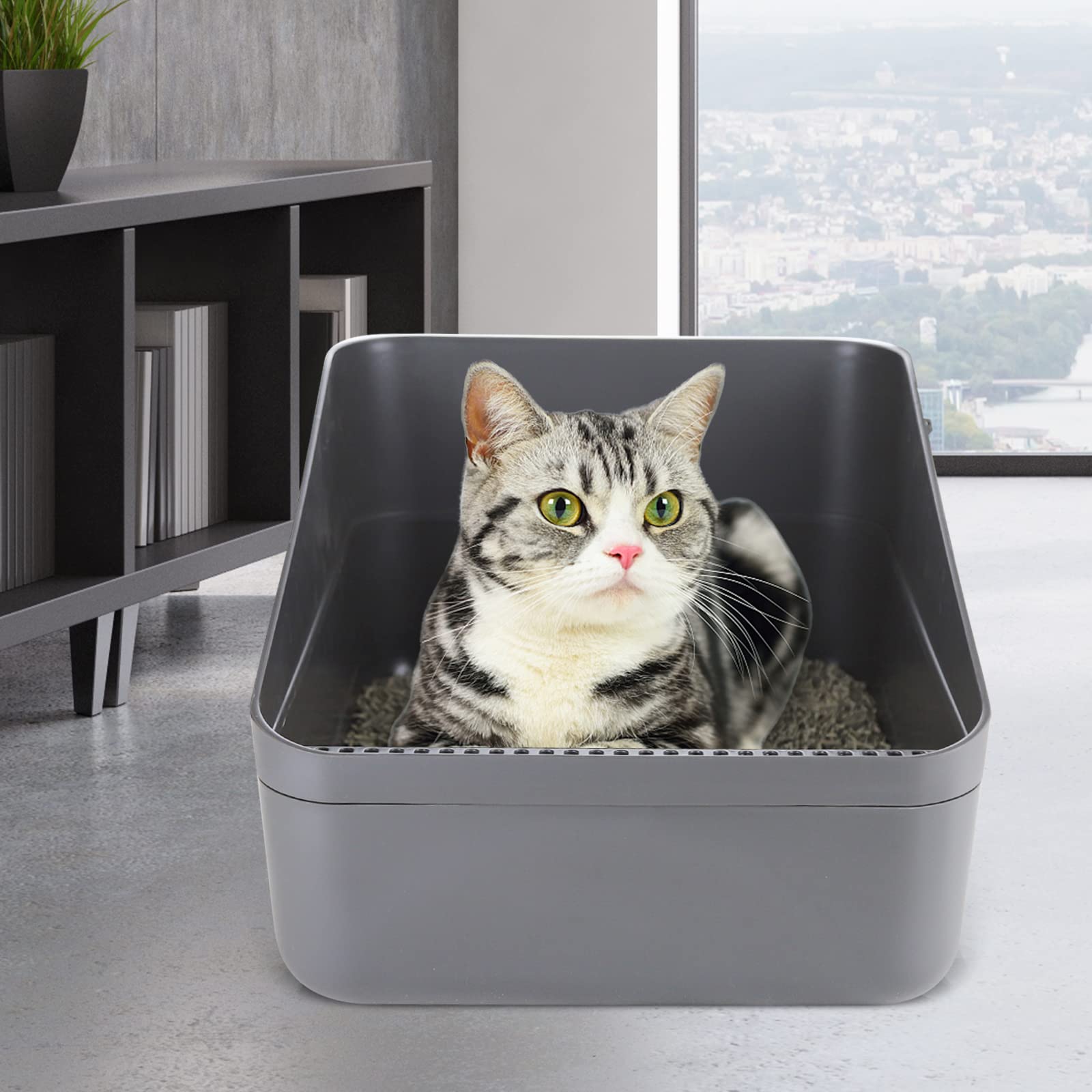 Sfozstra Cats Litter Box Low raised enclosure contains litter and urine