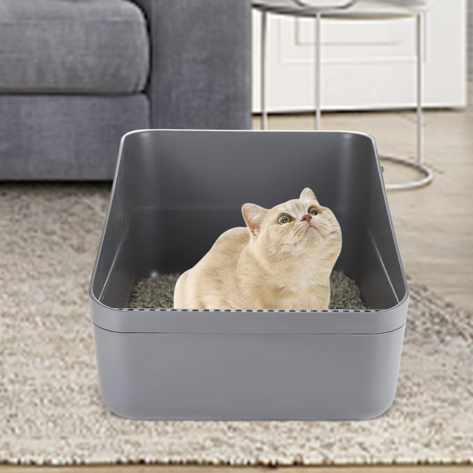 Sfozstra removable liner simplifies cleaning and maintenance