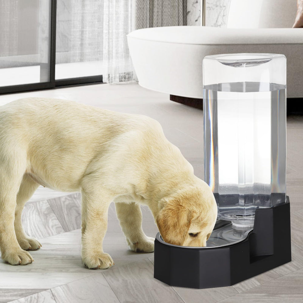 Hydration setup for garage or patio in a multi-pet home