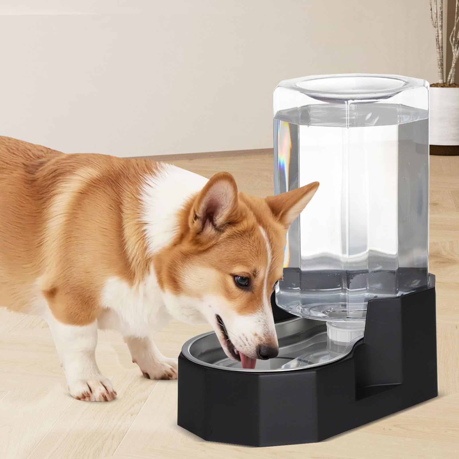 Sfozstra gravity-refill system demonstrates continuous water flow for pets.