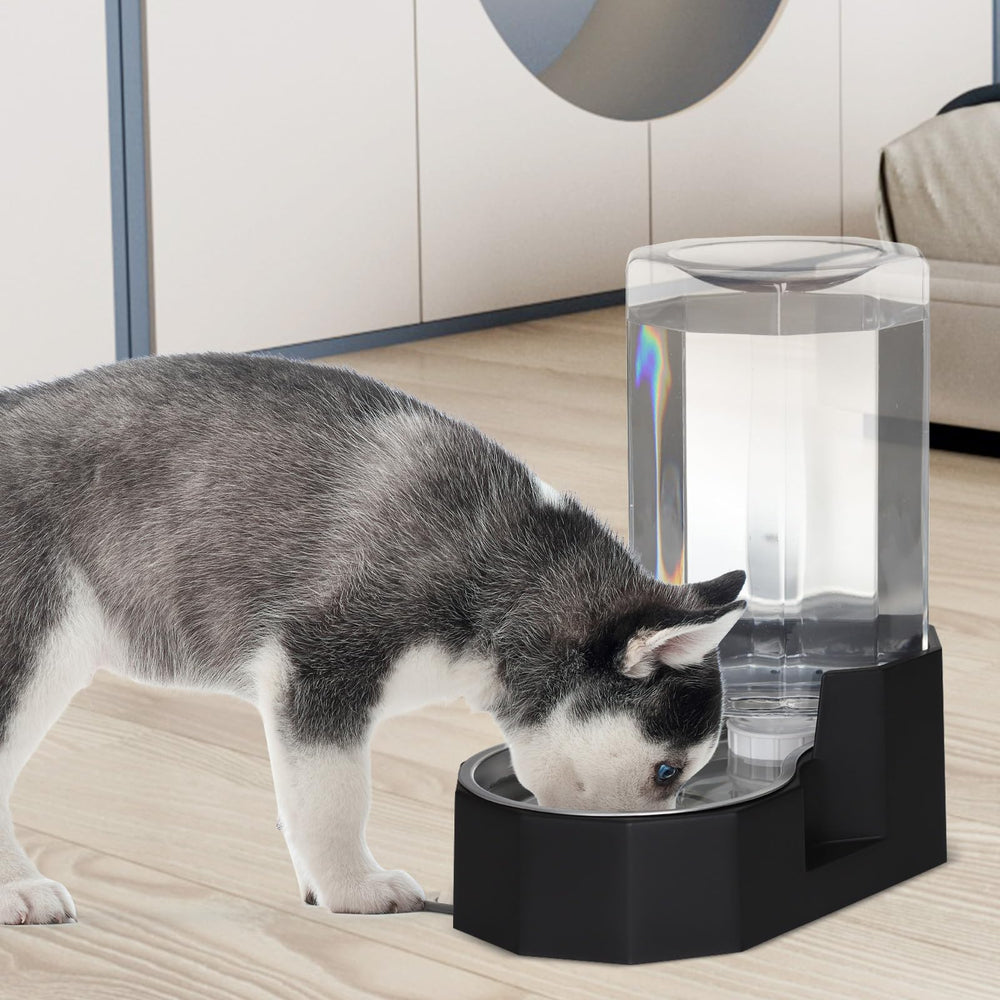 Sfozstra multi-pet use scenarios showing shared water access.