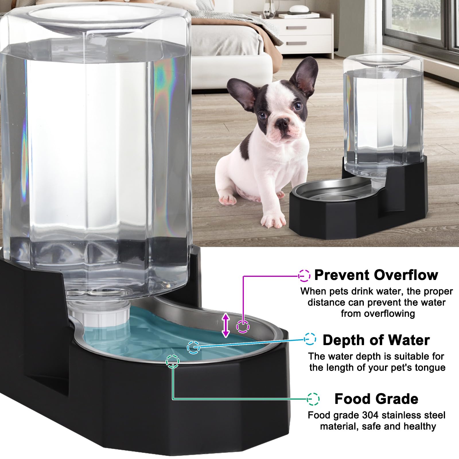 Sfozstra octagonal design detail blends modern style with pet care.