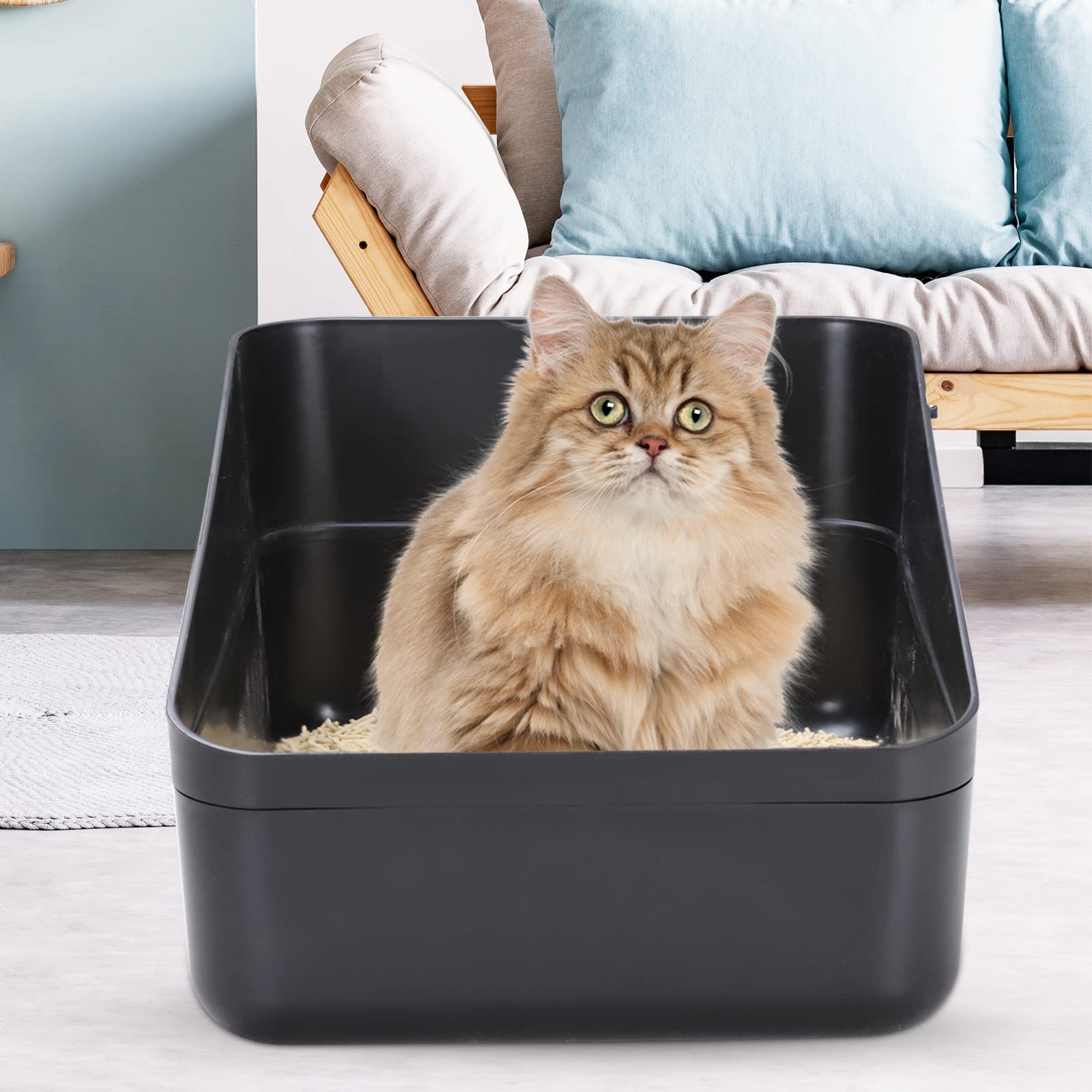 Sfozstra high sides prevent litter splash while cats enter.