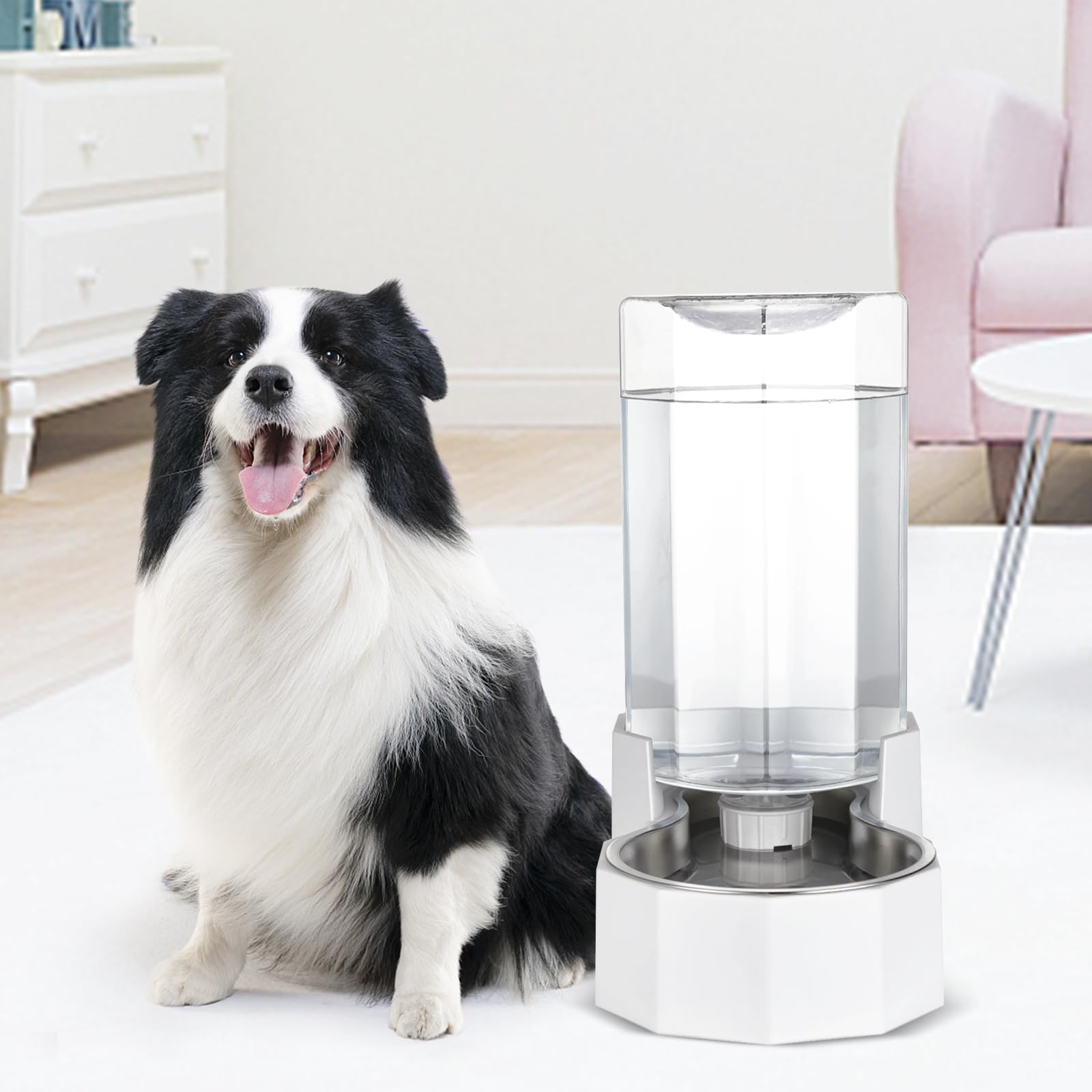 Sfozstra stable leak-proof feeder keeps floors clean on any surface