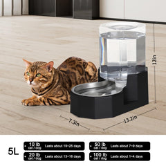 Sfozstra stainless steel water bowl is odorless and rust-resistant for daily use.