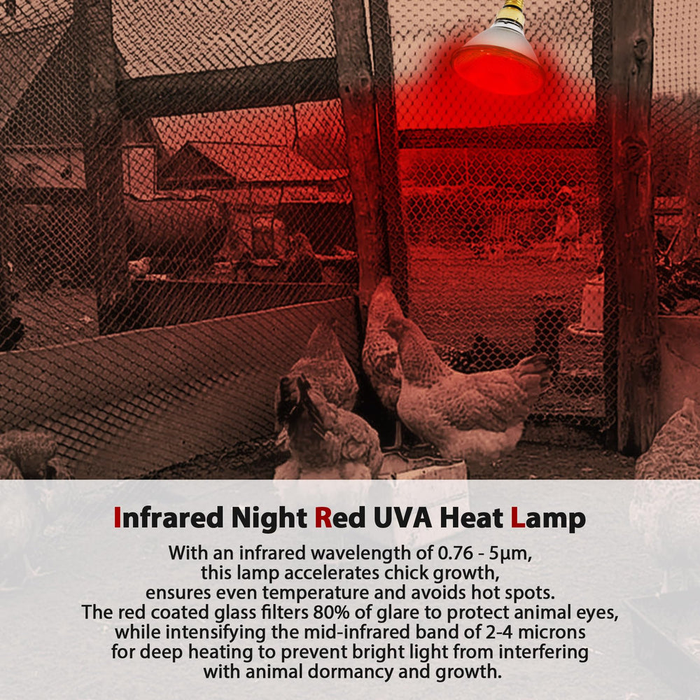 SFYJZJUUS energy-efficient infrared warmth outperforms standard bulbs.