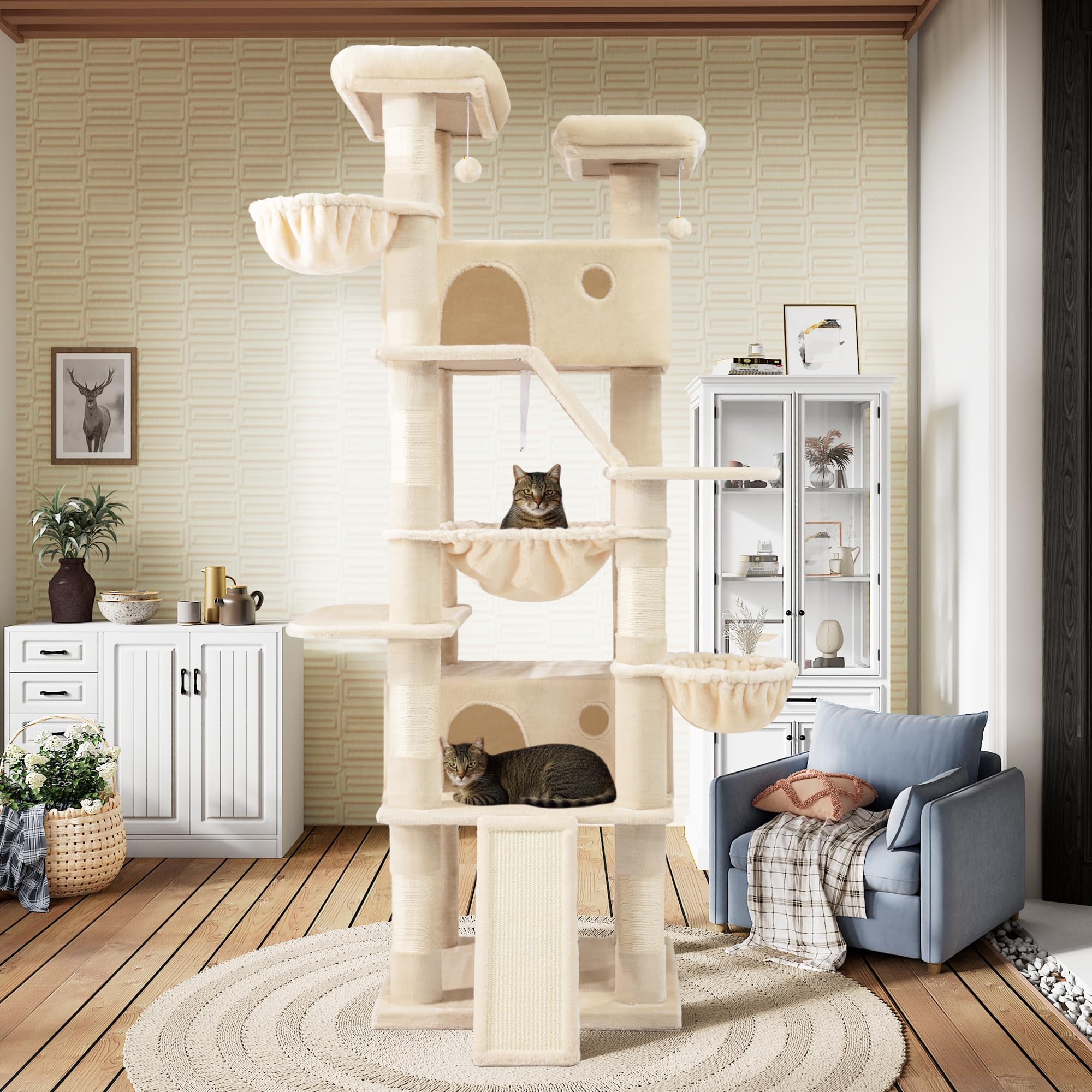 SHA CERLIN large condos provide roomy resting spaces for multi-cat homes