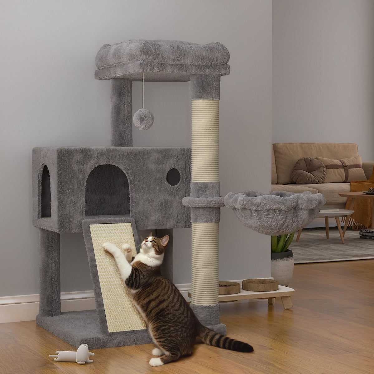 SHA CERLIN 36 inch cat tree with hammock provides a cozy lounge for indoor cats.