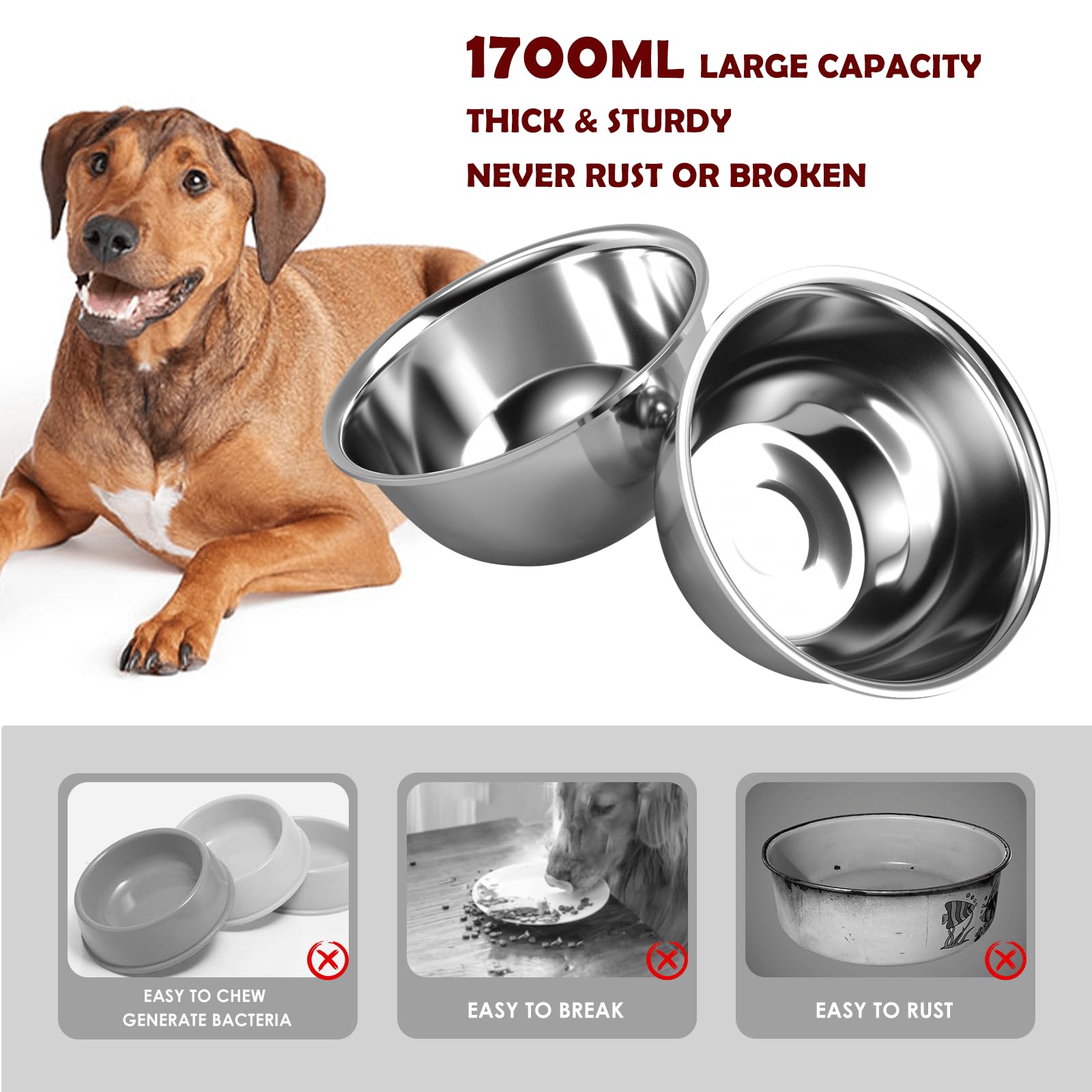 SHAINFUN easy-assembly dog bowl set for quick setup