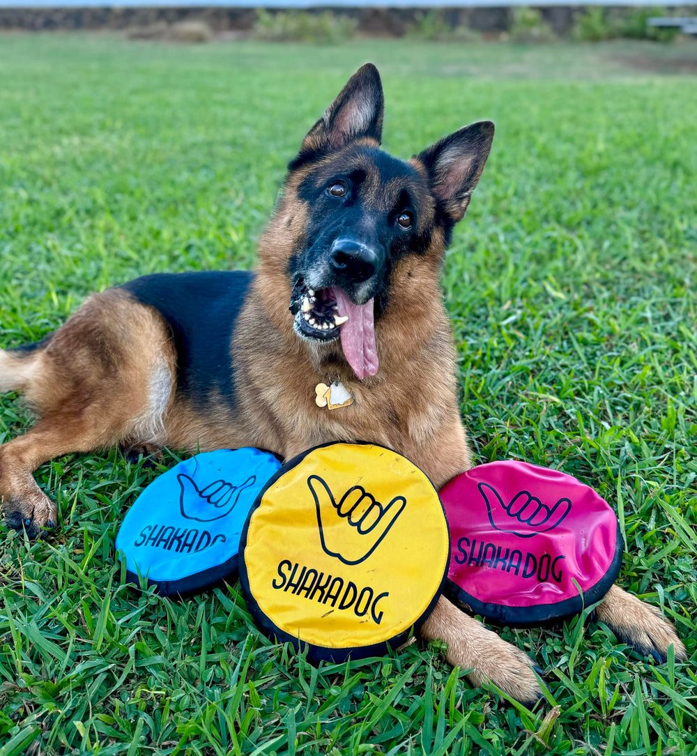 Shaka ZippyToss bright colors help locate the disc quickly outdoors.