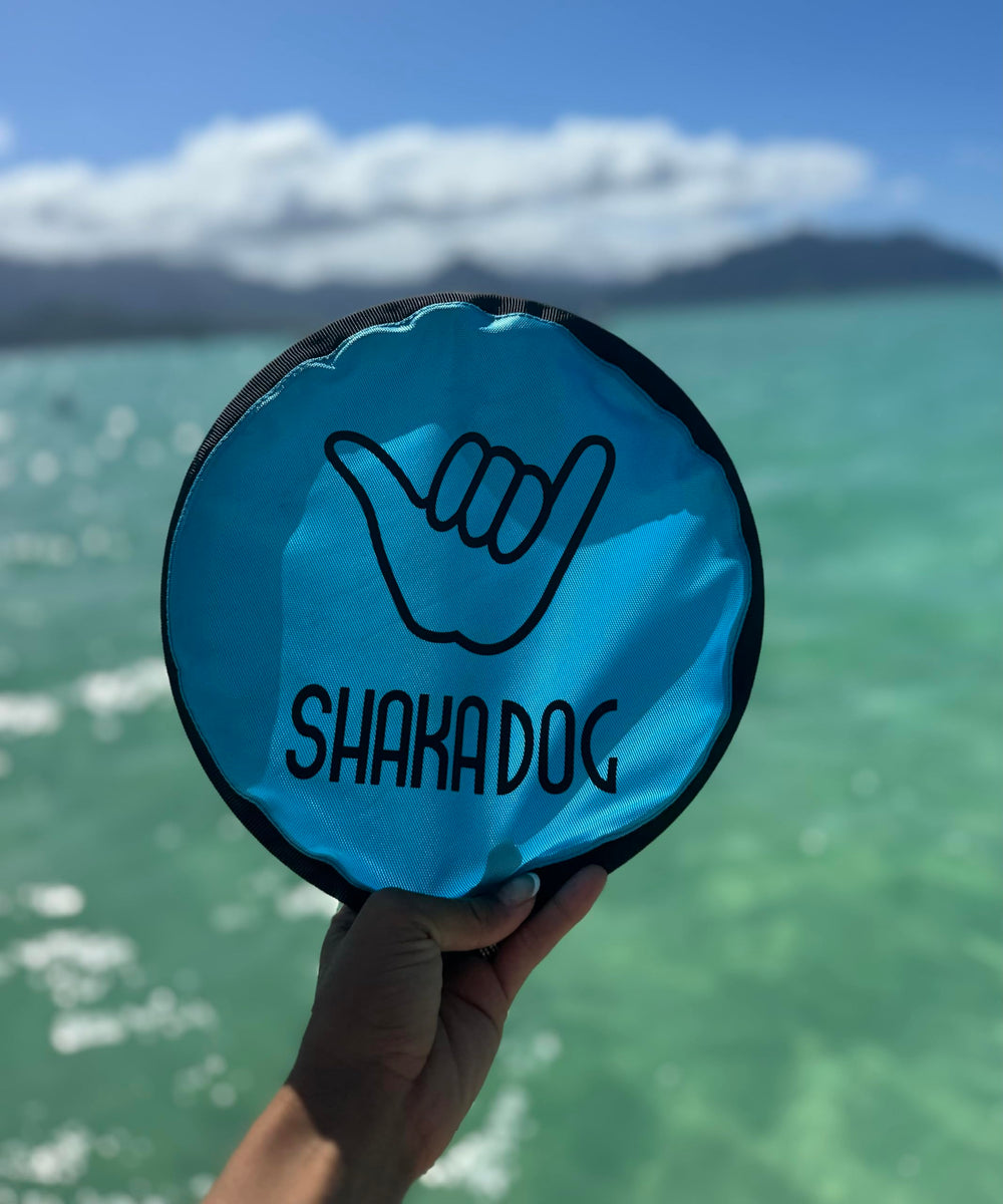 Shaka ZippyToss pack of five discs for group play and training.