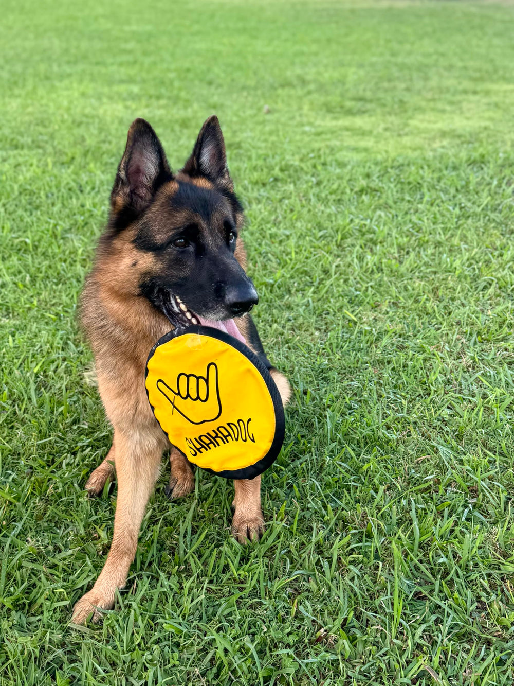 Shaka ZippyToss travel-friendly 9-inch disc for parks and beaches.