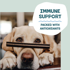 Shameless Pets immune-supporting dental sticks with antioxidants for pups.
