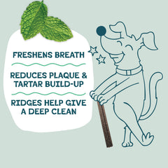 Shameless Pets Chicken & Mint dental chew in dog chewing action for fresh breath.