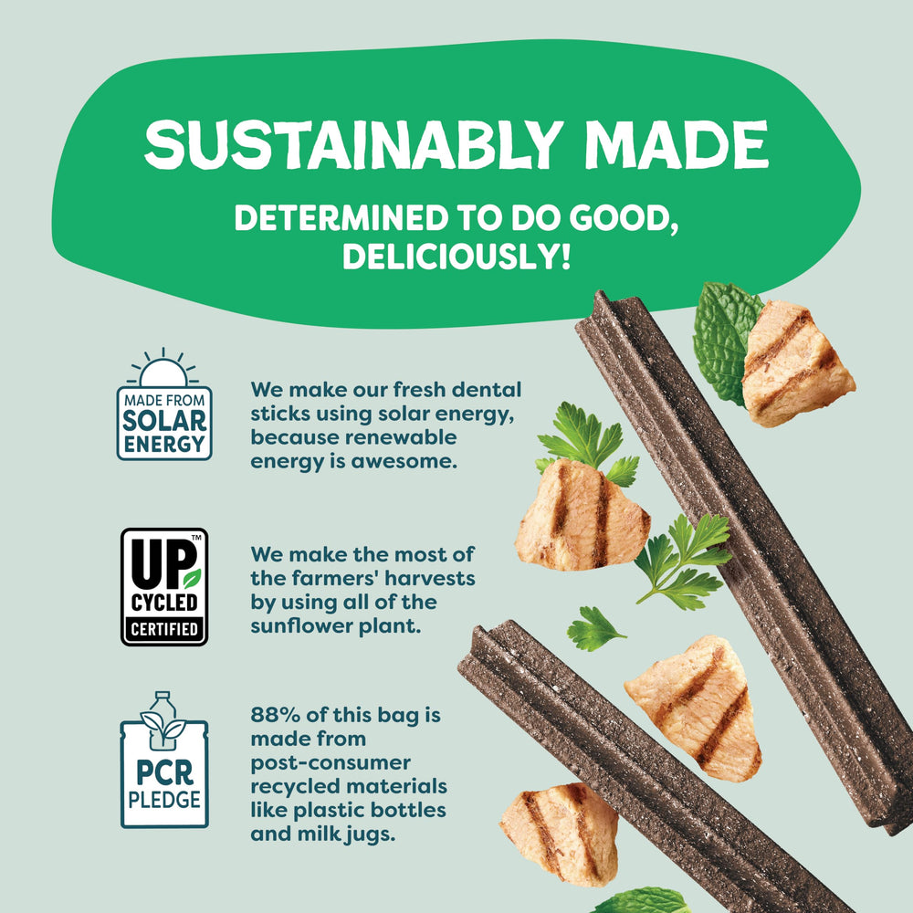 Shameless Pets Chicken & Mint dental chew with probiotics for digestive support.