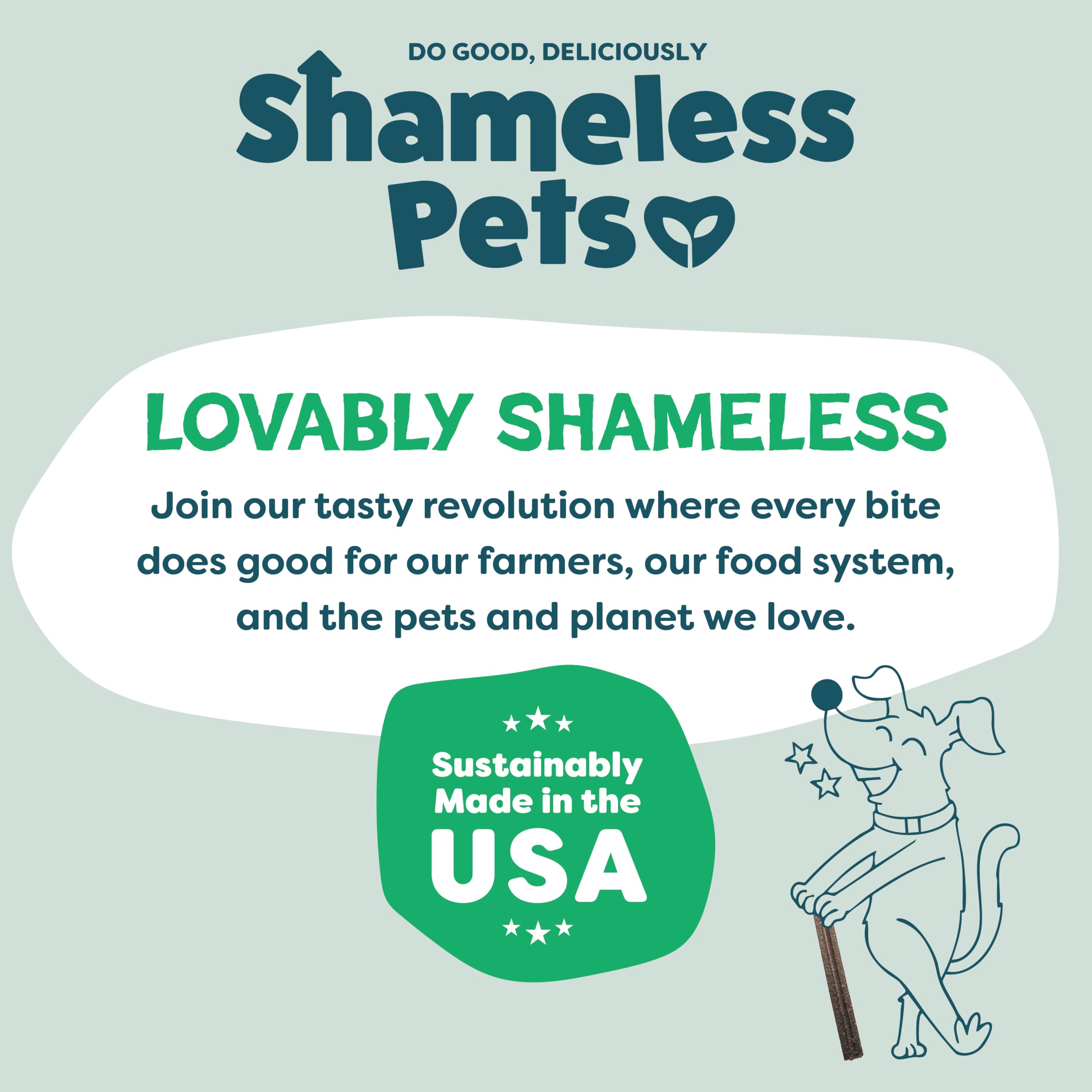 Shameless Pets Chicken & Mint dental chews made with upcycled fruits and vegetables.