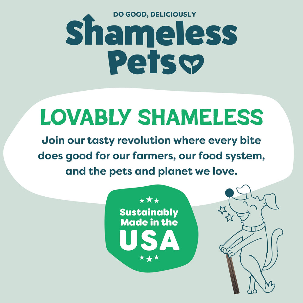 Shameless Pets Chicken & Mint dental chews made with upcycled fruits and vegetables.
