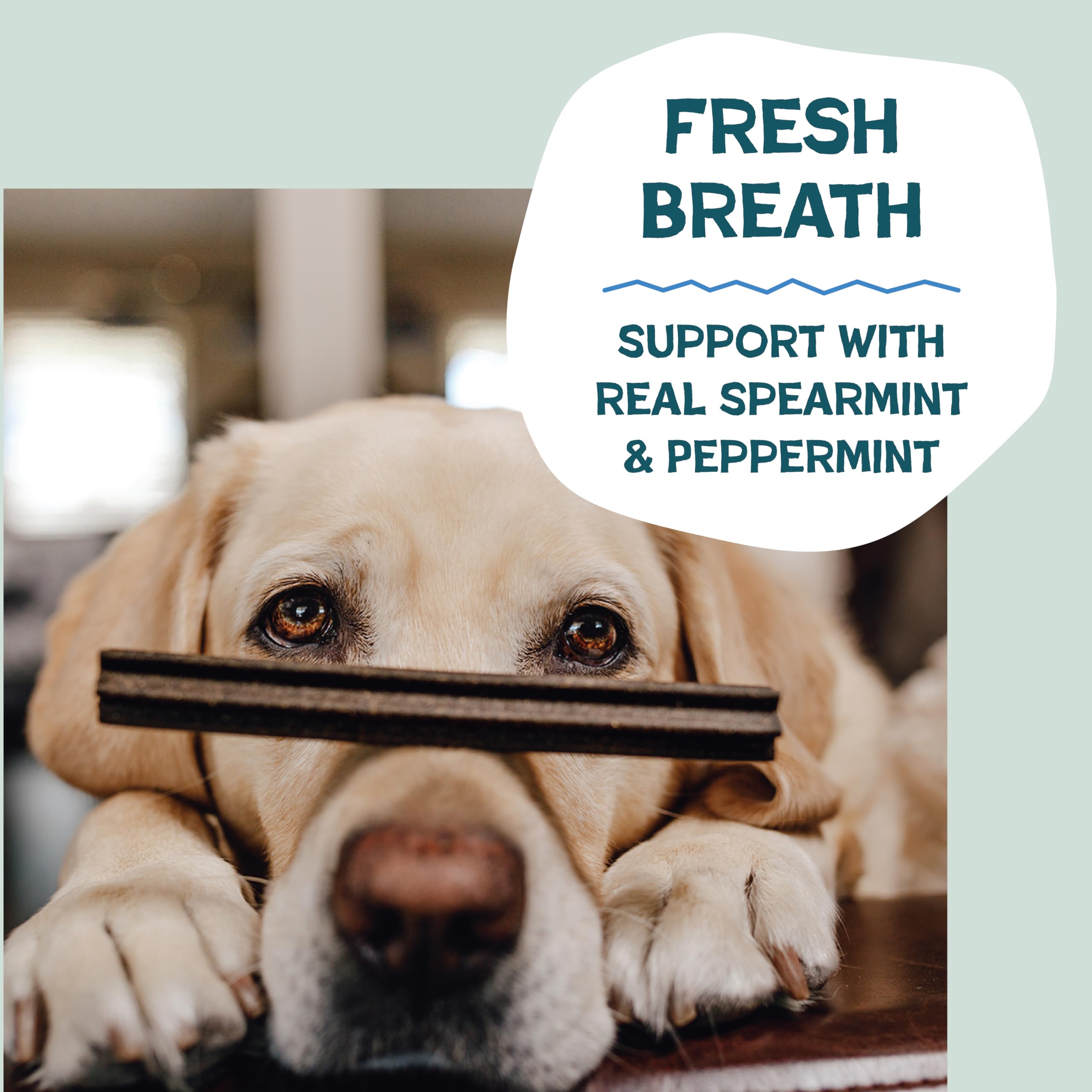Shameless Pets A Cluck a Day flavor sticks for engaging dental care routines.