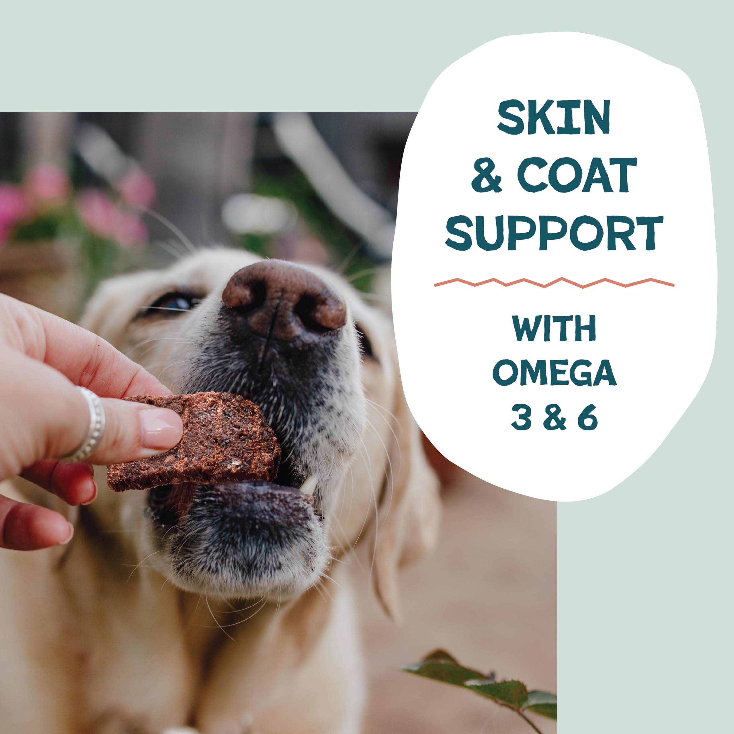 Shameless Pets Jerky Bites upcycled butternut squash in snack mix for sustainability.