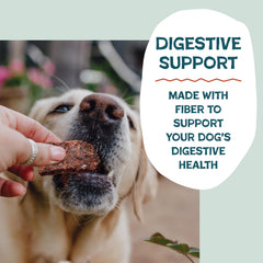 Shameless Pets Chickn-Colada bag flavorful dog treat variety