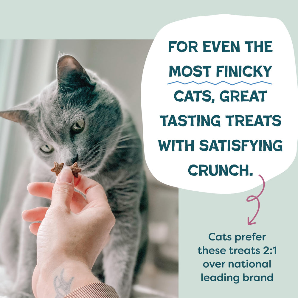 Shameless Pets prebiotic and probiotic blend supports gentle digestion