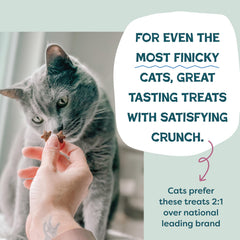 Shameless Pets prebiotic and probiotic blend supports gentle digestion