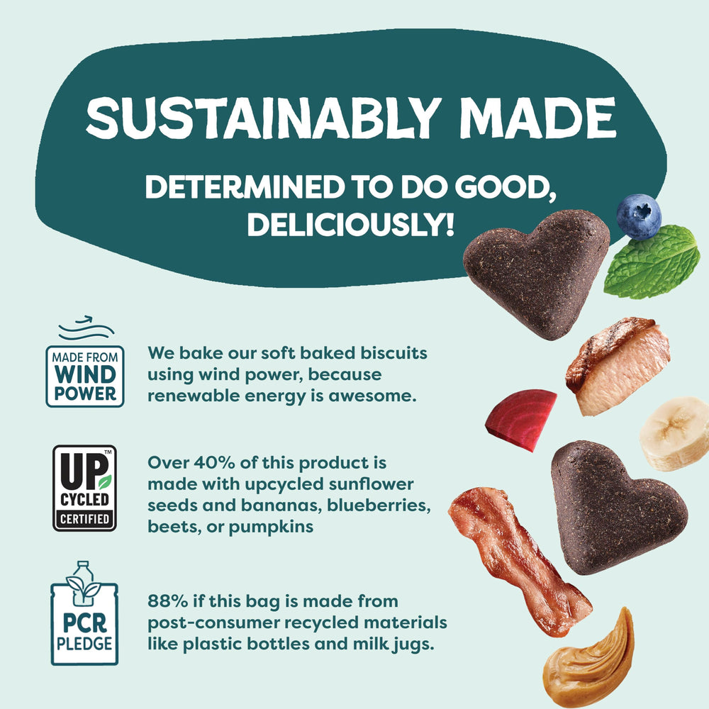 Shameless Pets Blueberried Treasure soft-baked treats, antioxidant-friendly indulgence for dogs.