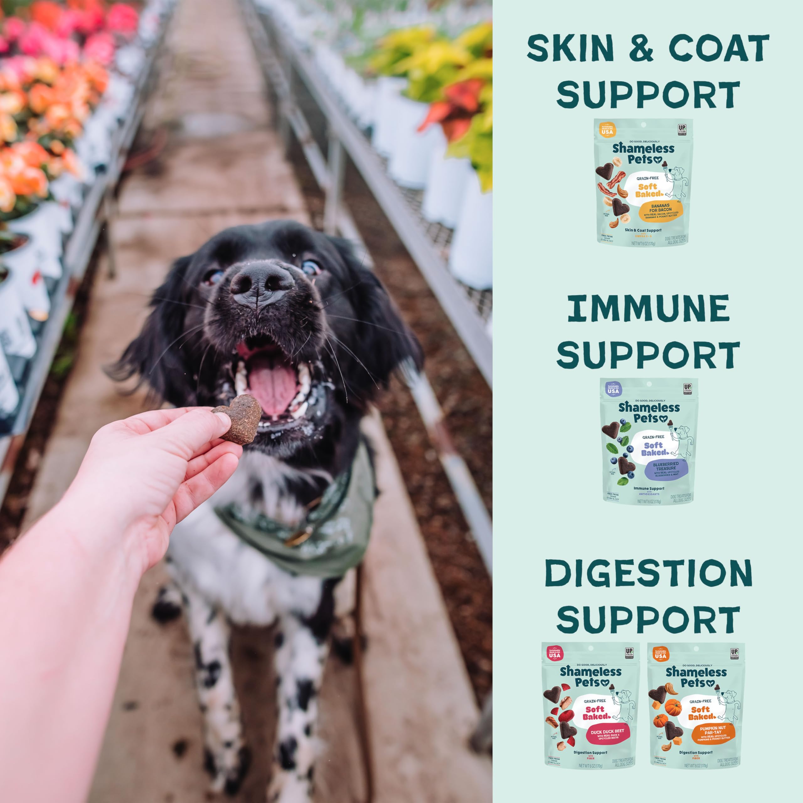 Shameless Pets Break and Egg soft-baked treats, tasty option for everyday training.