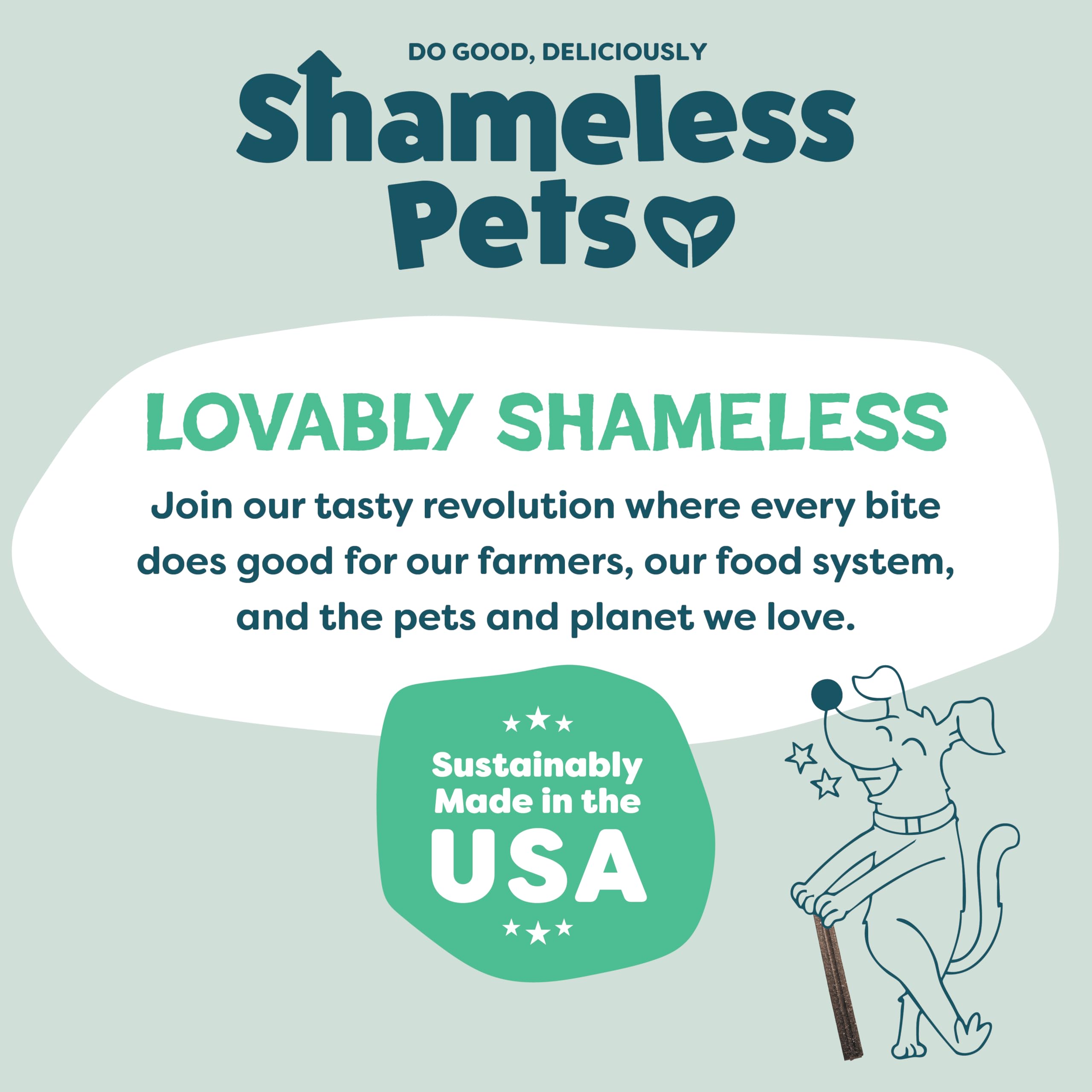 Made in the USA Shameless Pets dental chews packaging and branding