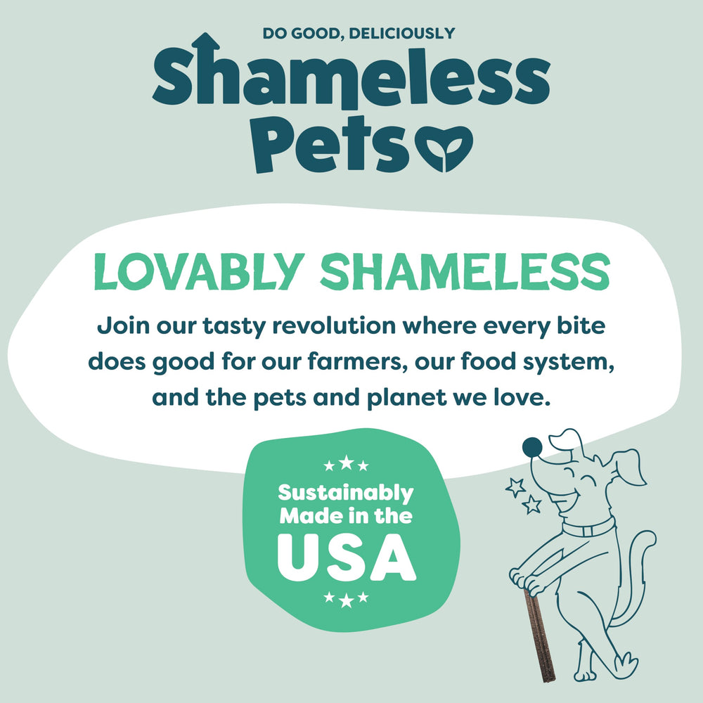 Made in the USA Shameless Pets dental chews packaging and branding