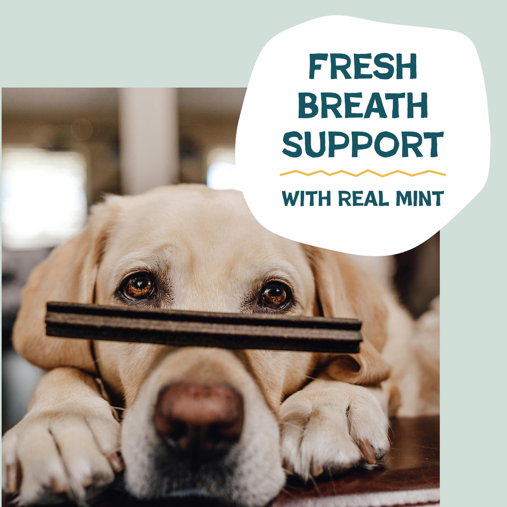 Shameless Pets upcycled ingredients reduce waste while nourishing dogs.