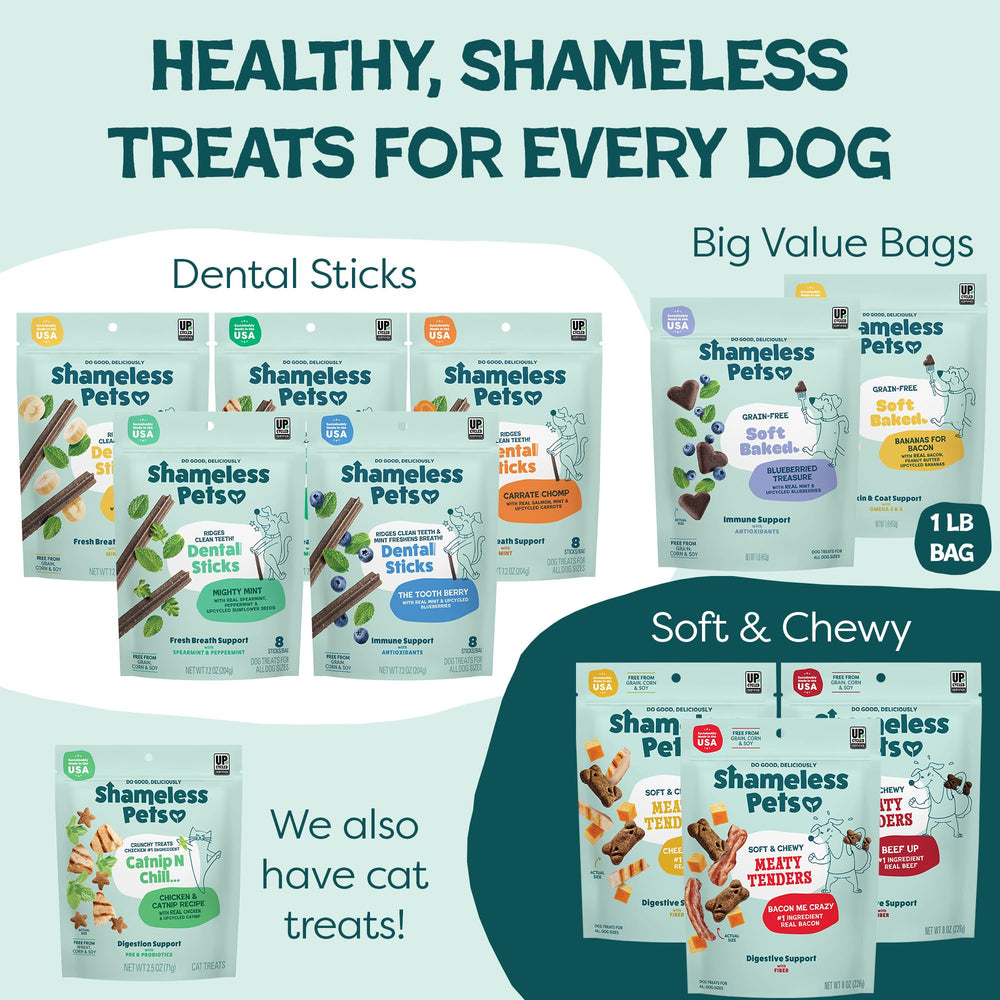 Shameless Pets Variety Pack 6oz bags, convenient multi-flavor option for dogs.