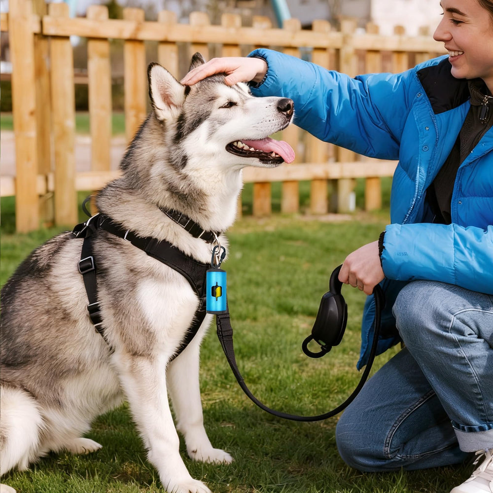 Comes with 6 accessories for quick setup on walks.