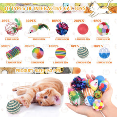 Shappy plush balls and bright toys for interactive kitten play.