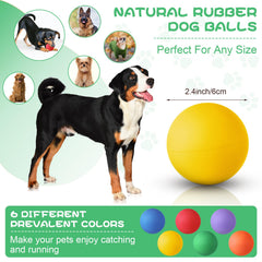 Shappy 2.4-inch dog ball close-up showing durable rubber texture
