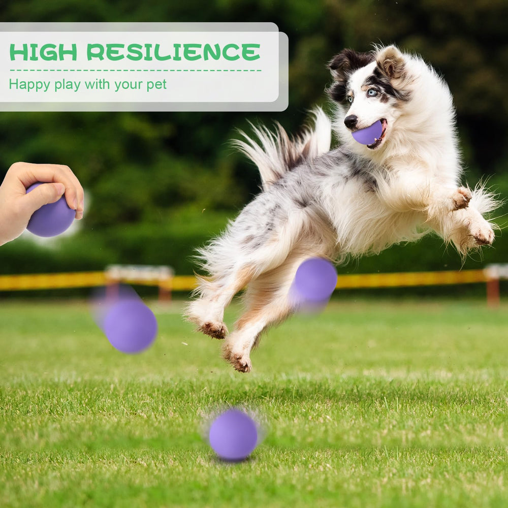 Shappy ball floating on water for fetch and water play