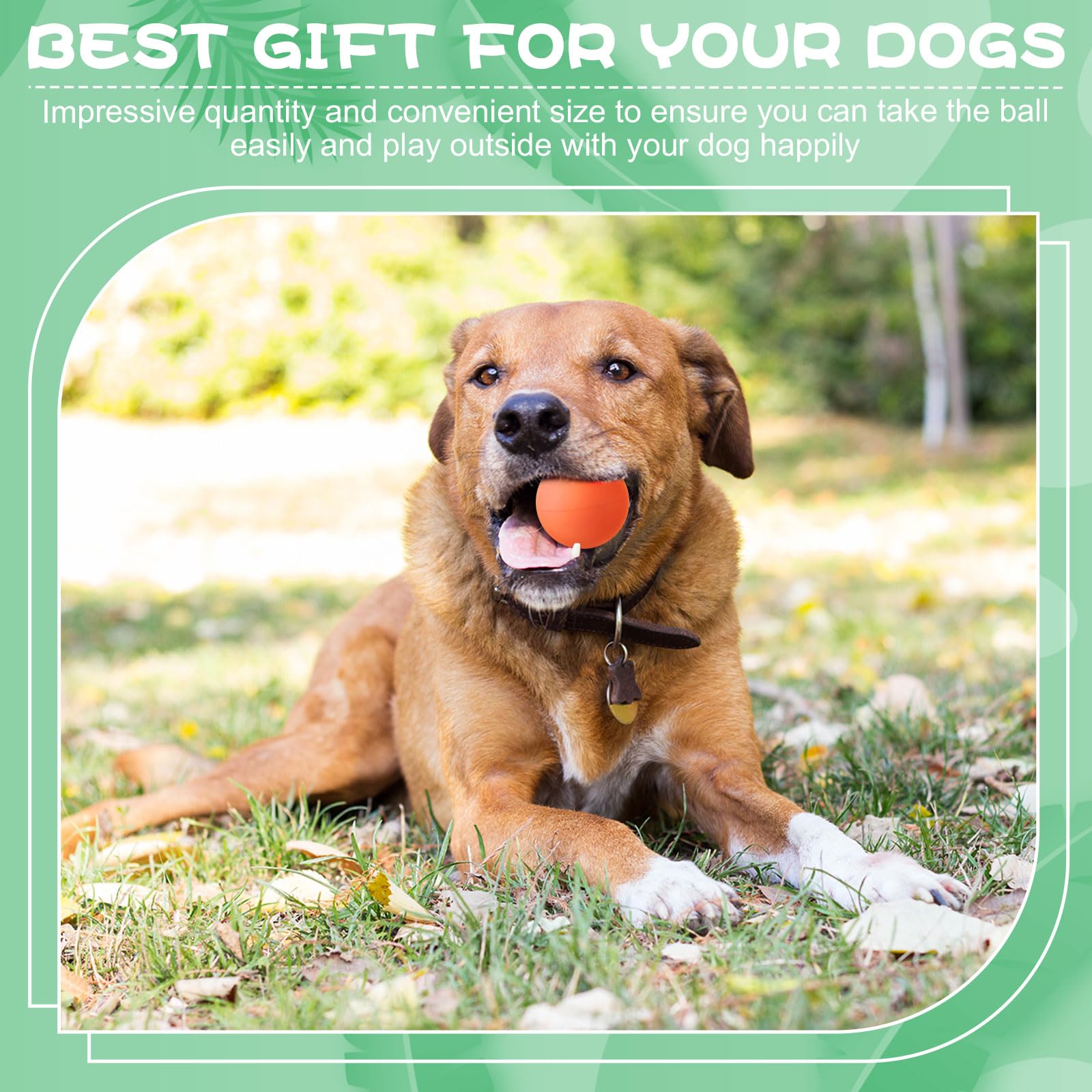Shappy safe chew toy for supervised chewing and entertainment