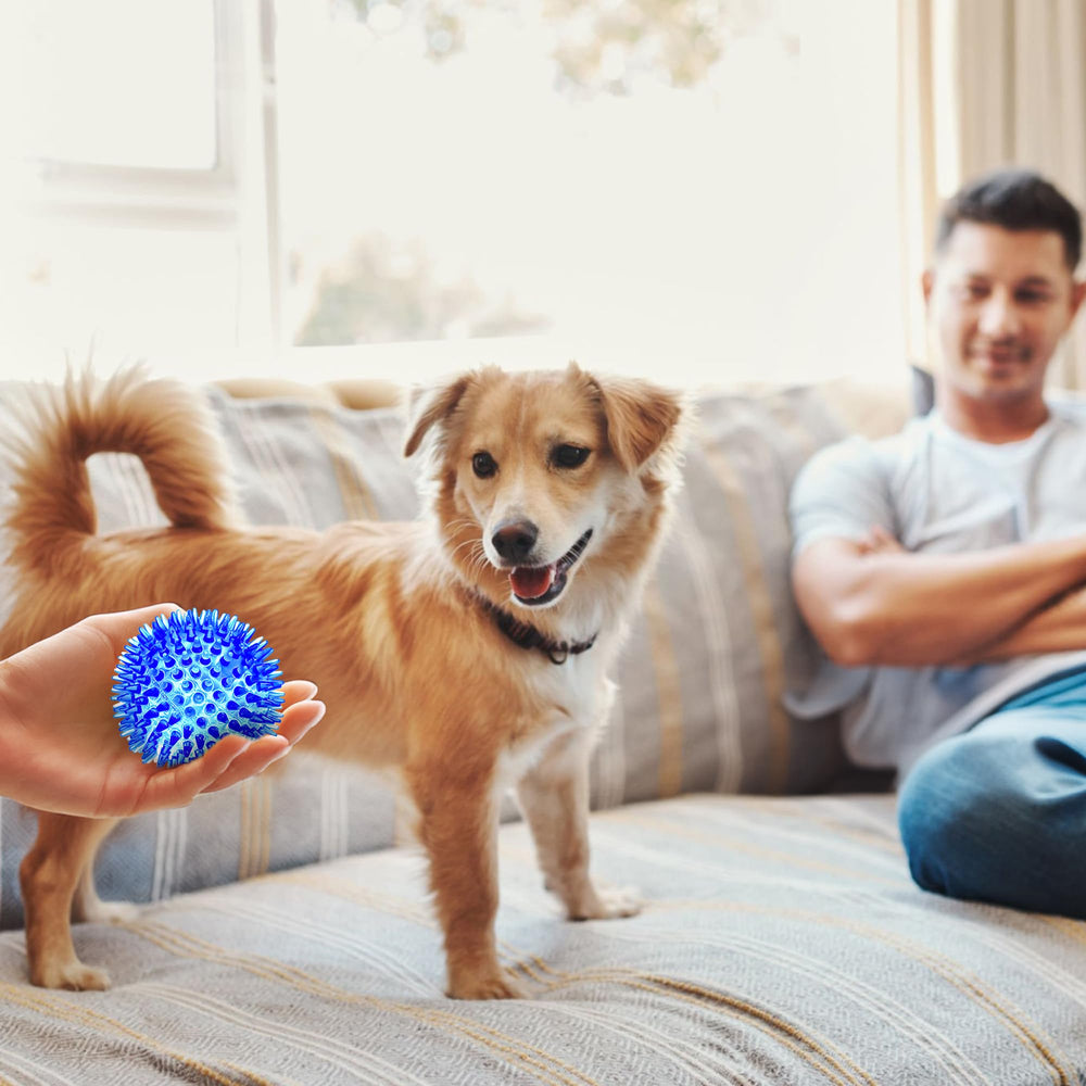 Hidden squeaker inside the Sharlovy ball for audible play