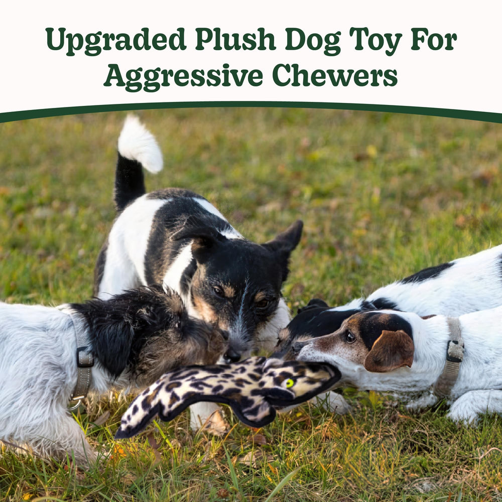 Sharlovy bound-edge nylon dog toy delivers lasting durability for aggressive chewers.