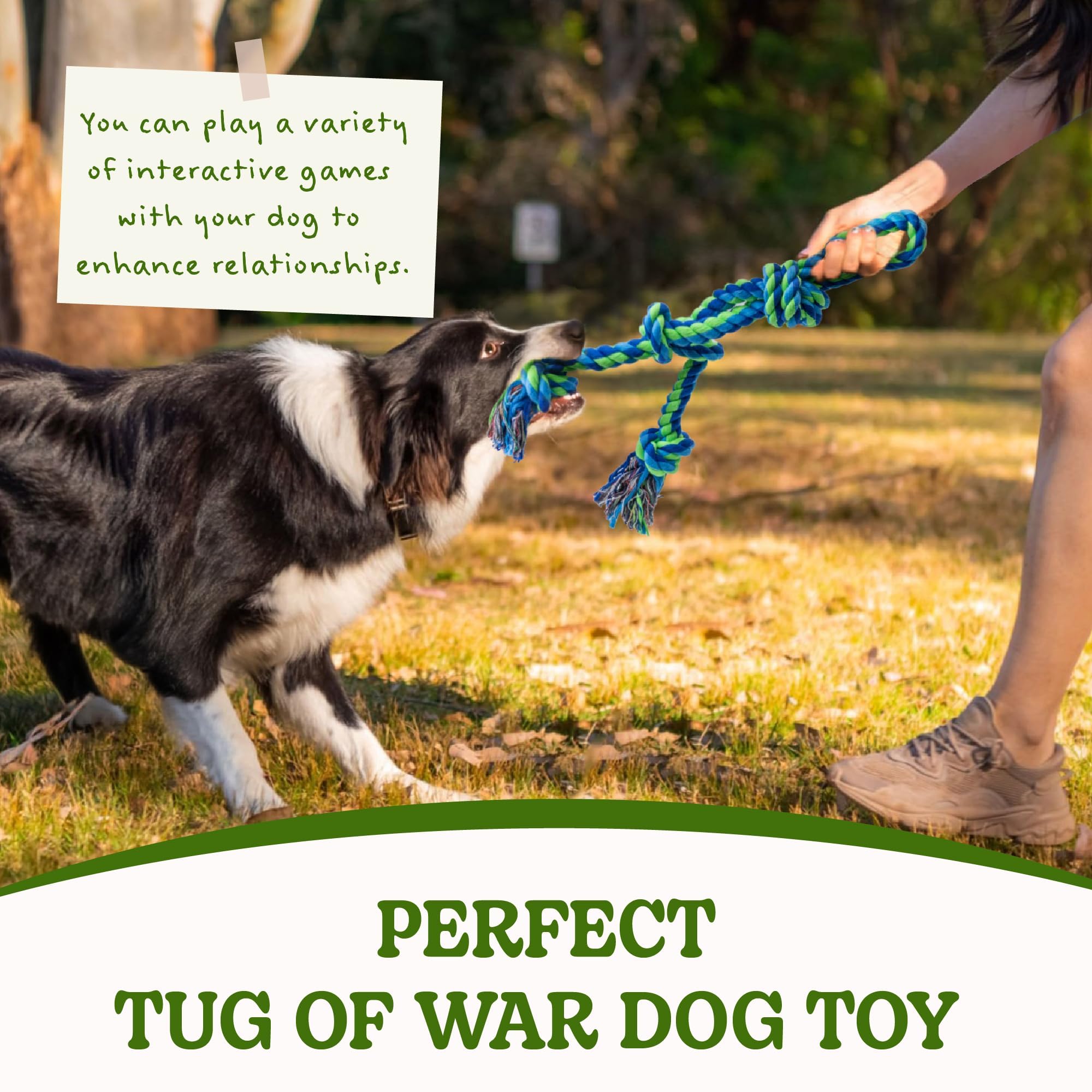 Sharlovy bright rope toy attracts dogs for indoor or outdoor play.