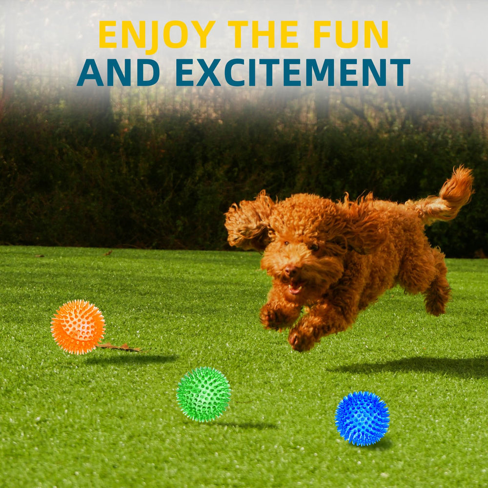 Dog enjoys fetch with the Sharlovy spiky ball outdoors