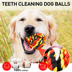 SHARLOVY interactive play with rope ball for engagement and training