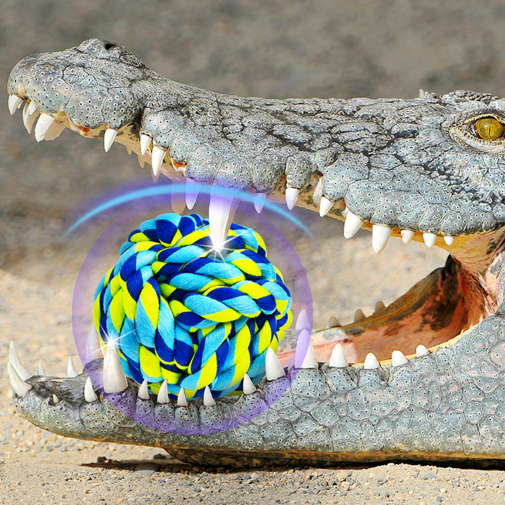 SHARLOVY backyard play with durable rope ball resisting outdoor chewing