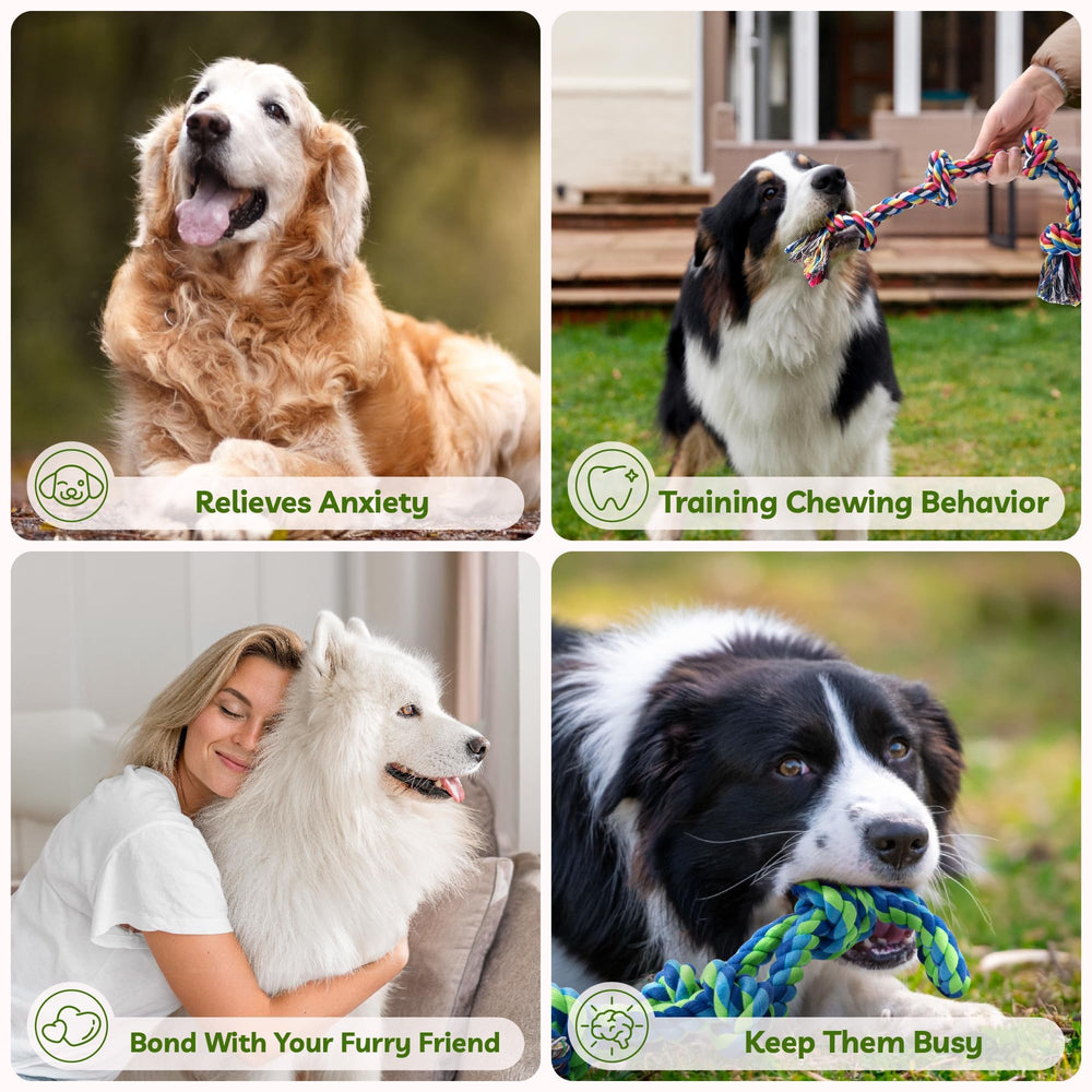 Sharlovy supervised chewing toy promotes safe play.
